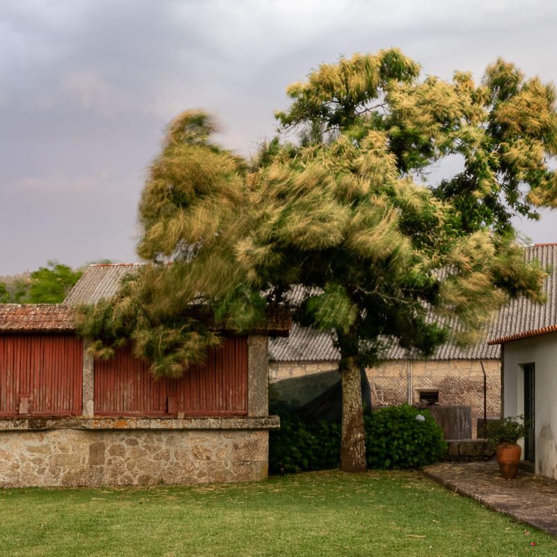 Ensaio 3 de Fotografia _João Pedreda_2