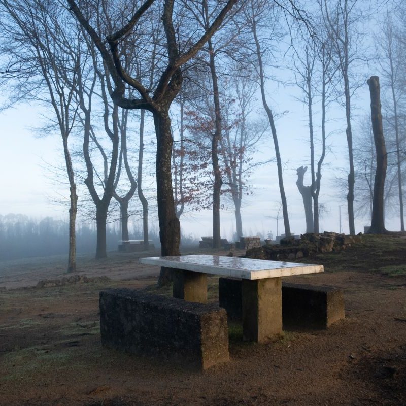 Monte da Virgem 2026 XII